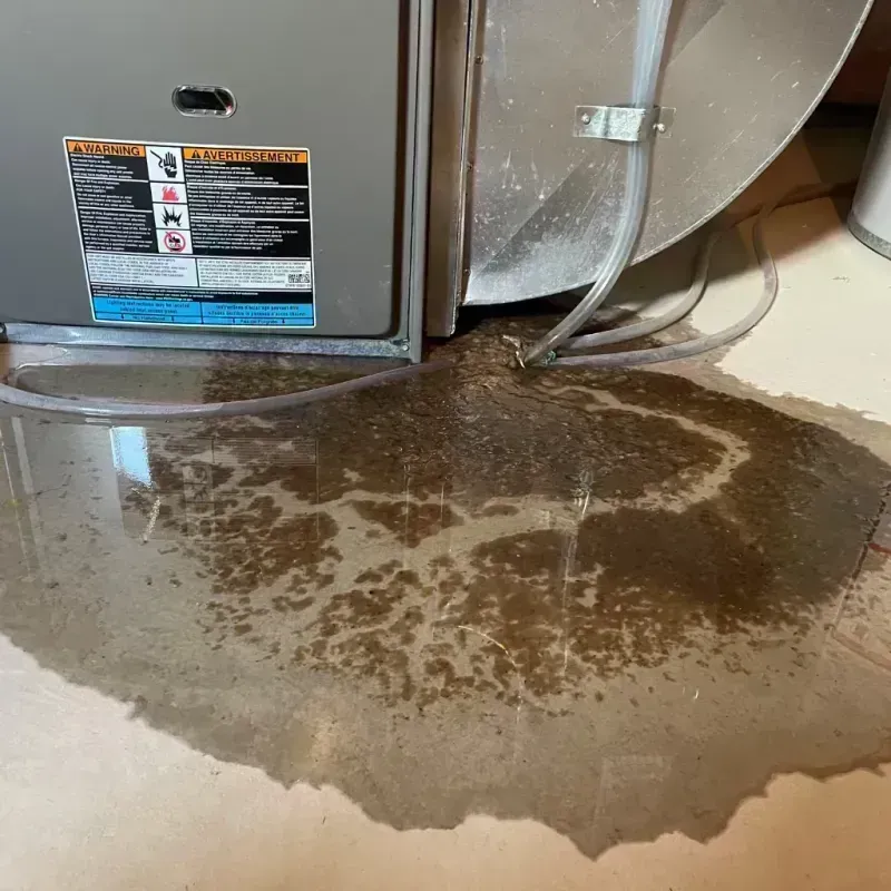 Appliance Leak Cleanup in Webster County, MO